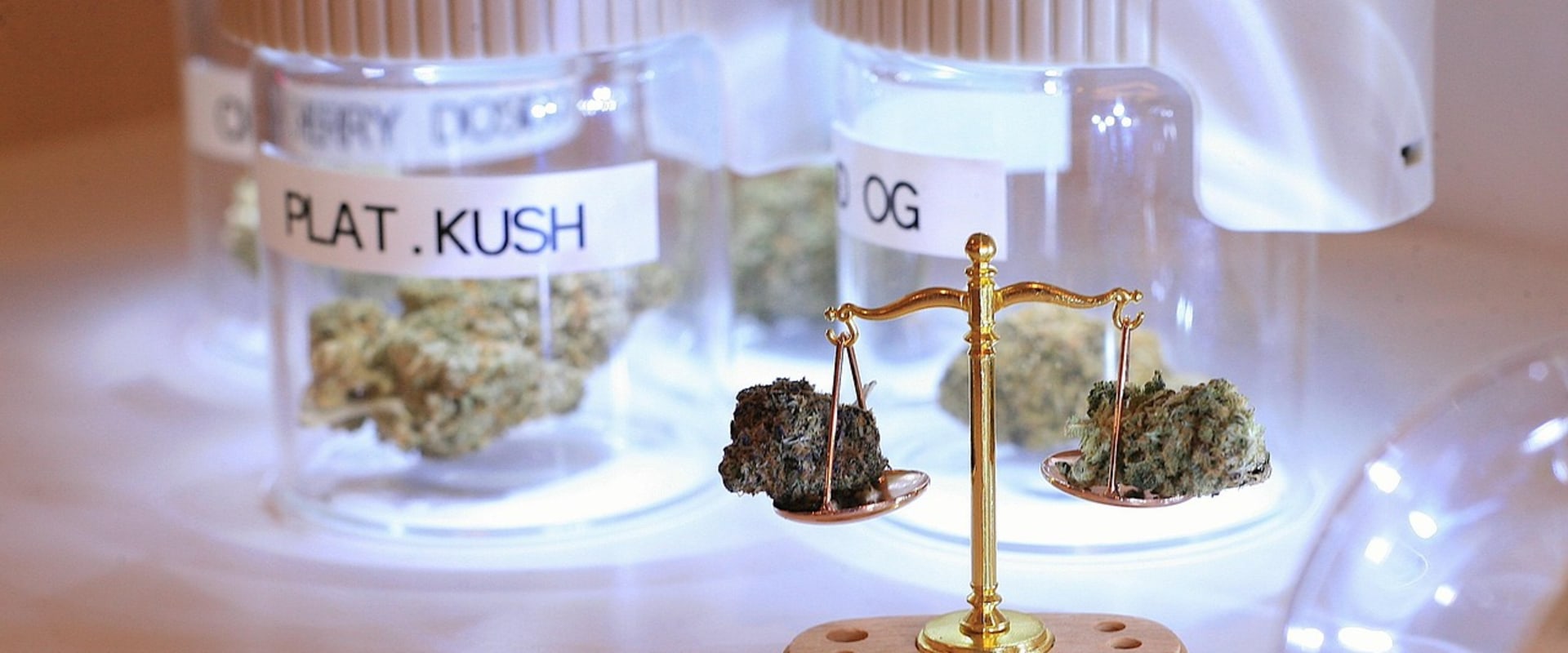 Understanding THC for Pain in Detox Programs in Denver