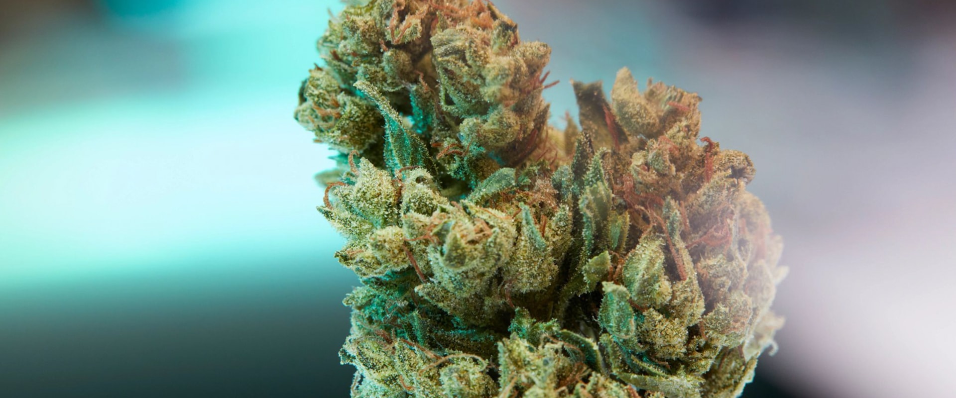 How much thc percentage is too much?