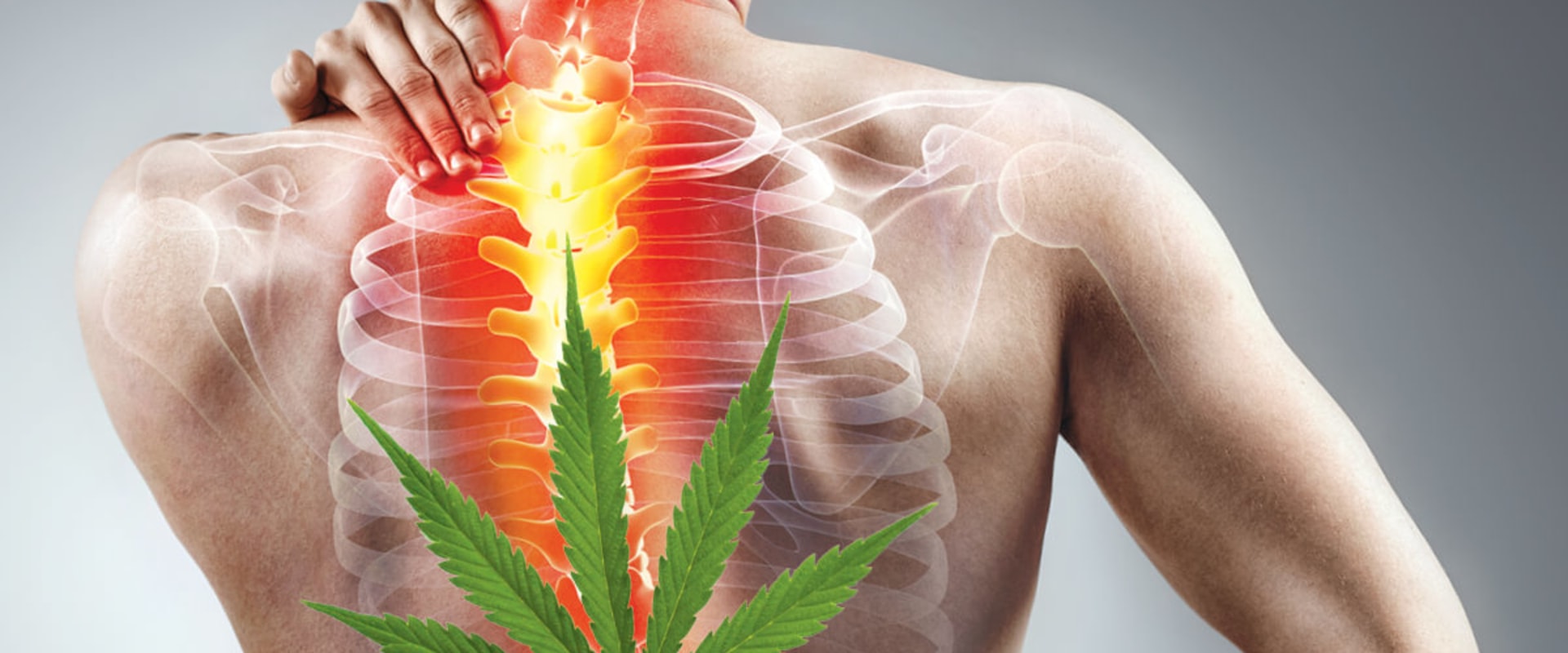 Is thc a pain medication?