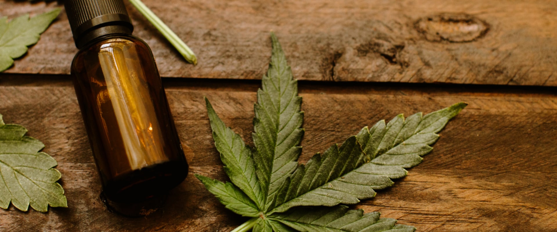 Which is better for pain cbd or thc?