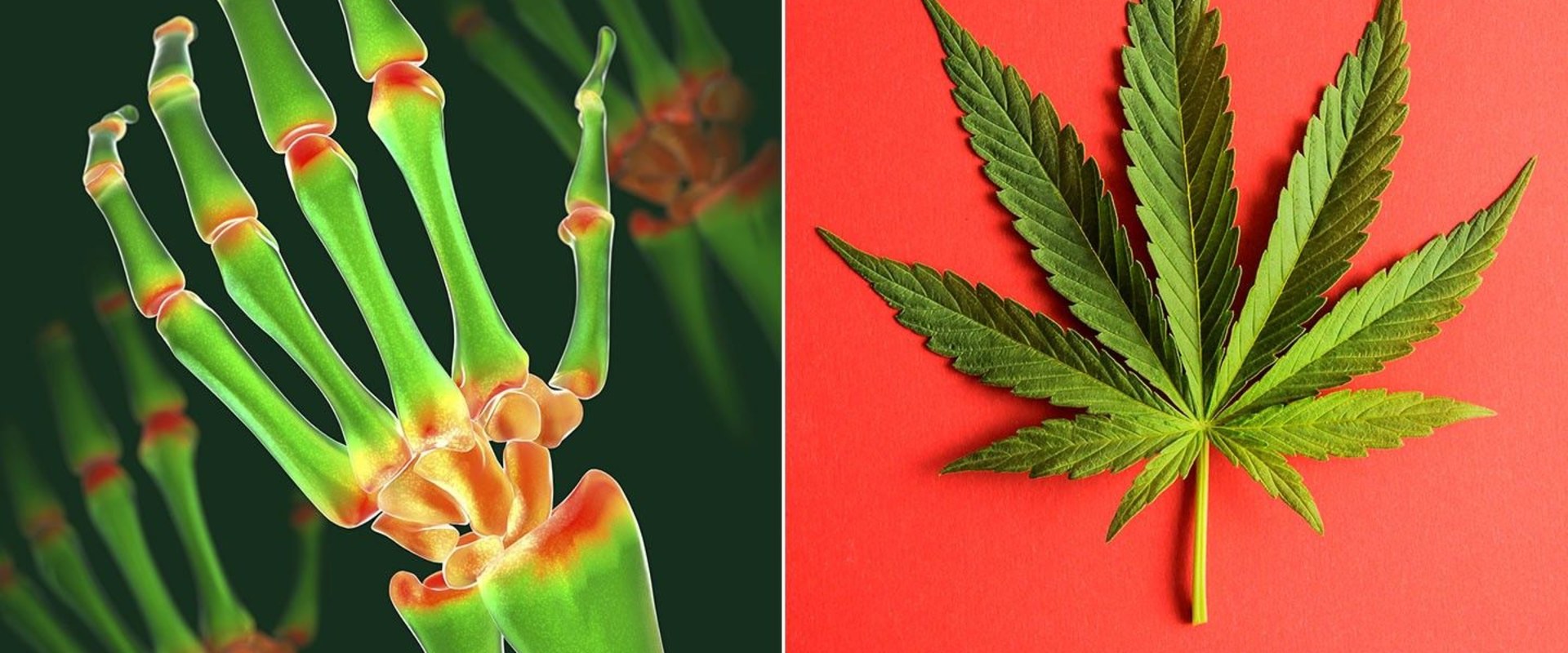 Does thc help with inflammation and pain?