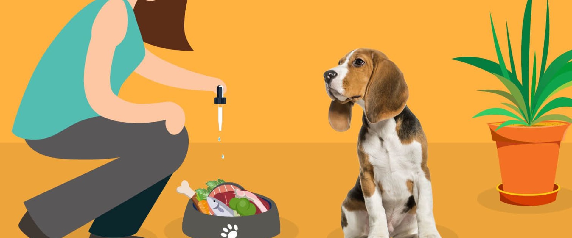 Can dogs have thc for anxiety?