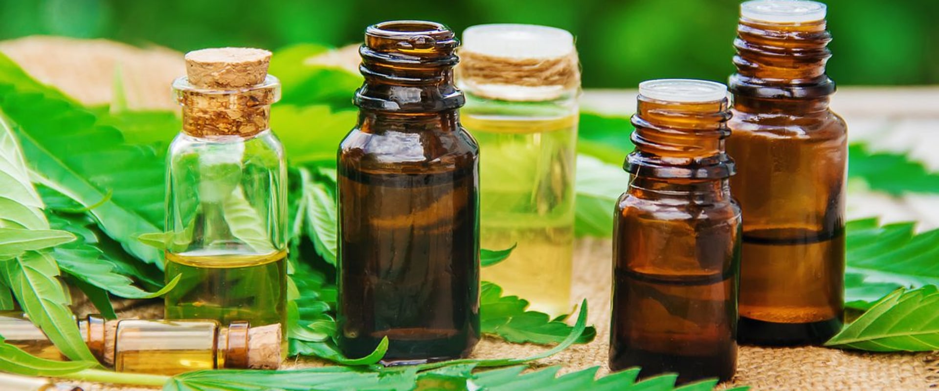 What is better for back pain cbd or thc?