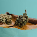 10 Ways To Use THC For Pain Relief With Raw Pre-Rolled Cones