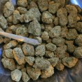 Exploring THC for Pain and the Benefits of a Substance Use Detox Program in Dallas, TX
