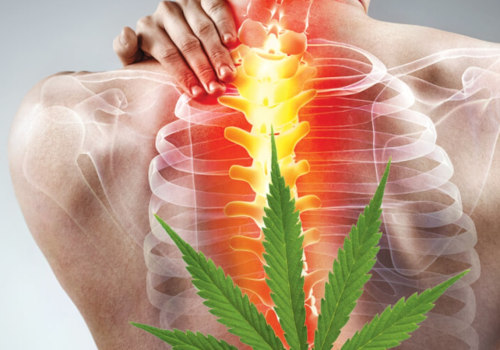 Is thc a pain medication?