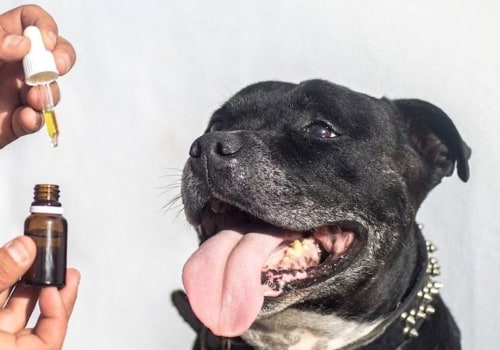 Can you give dogs thc and cbd?